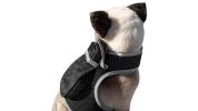 Get Realtime SMS/Live Tracking Data w/ Pet Tracker GPS Dog Collar Tracker Size:XL